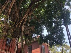 -厦门市鼓浪屿风景名胜区-天主教堂