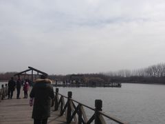 -溱湖国家湿地公园