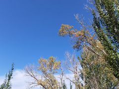 -三盛公水利风景区