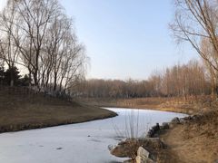 -大兴滨河森林公园