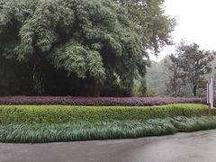 -赭山公园