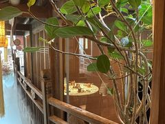 -叶叶菩提·晋福宫