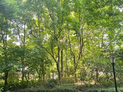 -中海万锦城1期