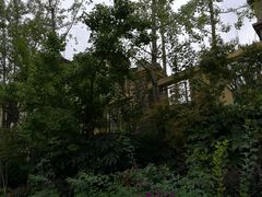 -仙海旅游度假区