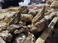 -毕家疃综合市场
