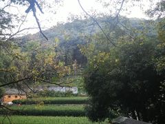 -随意茶庄·地道杭帮农家菜(梅家坞店)