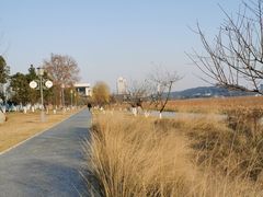 -月湖风景区