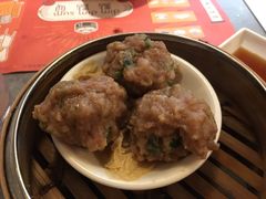 山竹牛肉丸-点点心点心专门店(旺角店)