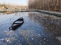 -溱湖国家湿地公园