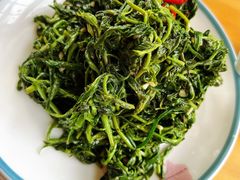 枸杞苗-三益轩(总店)