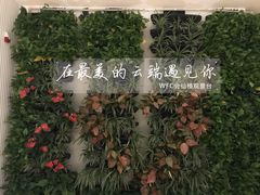 -WFC会仙楼观景台