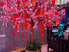 -纯K(打浦桥店)