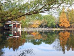 -共青国家森林公园-售票处