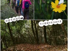 -午潮山国家森林公园
