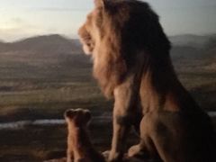 -汇金缪斯影城(八佰伴店)