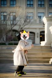 -大连棒棒糖儿童摄影(熊洞街店)