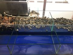 -比亚森自助烤肉料理(裕华店)