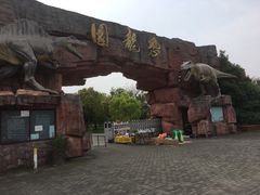 -上海海湾国家森林公园