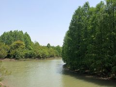 -上海海湾国家森林公园