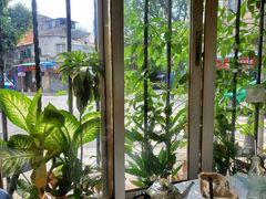 -广宁炭炉鸡煲·富临门饭店