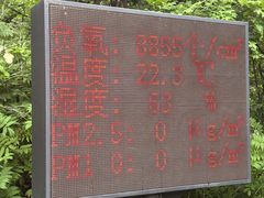 -五营红松林海景区