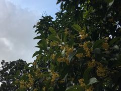 -柏尼娅PEARIA·蛋糕定制(静安店)