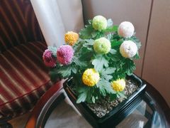 -和记小菜(名品店)