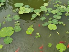 -绍兴大禹开元观堂-若耶厅