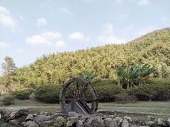 -艾溪湖湿地公园