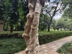 -南宁南湖公园