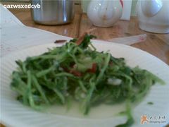 凉拌豆苗-老班长手工灌汤包老店(东山店)