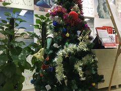 -诺亚雅思托福北郊中心(凤城路店)