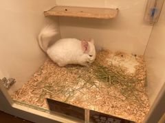 -龙猫仔乐园(惠福东路店)