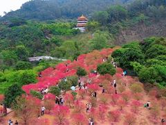 -水濂山森林公园