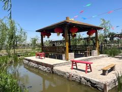 -同銮特种养殖场·龙虾垂钓