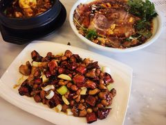 -陈麻婆豆腐总店