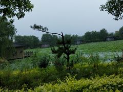 -灵山莲花公园-温泉度假区