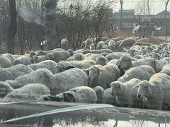 -大明幻境第一城