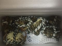 阳澄湖大闸蟹-珍宝蟹舫·巴城味道(巴城总店)