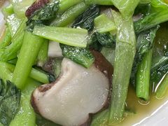 -苗氏卷子鸡(张掖金鸿大厦店)