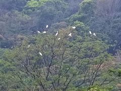 -风云岭森林公园