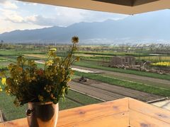-翠田Green Field Kitchen