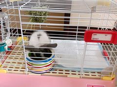 -龙猫仔乐园(惠福东路店)