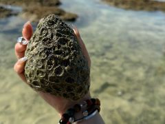 -三亚西岛海洋文化旅游区