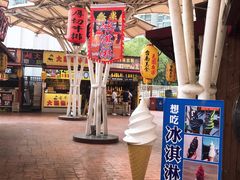 -锦江乐园舞狸花花游园会(夜场专享)