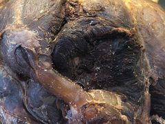 牛肉-大牛湾·眷村牛肉面(蠡溪店)