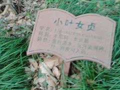 -上海佘山国家森林公园西佘山园