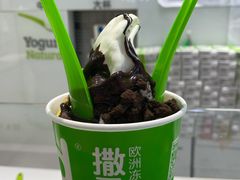 -Salud撒露欧洲冻酸奶(蓝色港湾店)