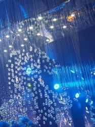 点击看大图 -格乐利雅婚礼艺术中心(南外滩店)