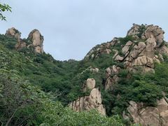 -大岭沟猕猴桃谷风景区